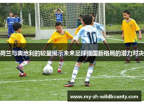 荷兰与奥地利的较量揭示未来足球强国新格局的潜力对决 荷兰与奥地利的较量揭示未来足球强国新格局的潜力对决
