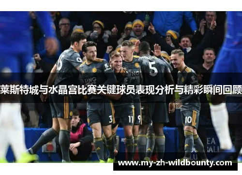 莱斯特城与水晶宫比赛关键球员表现分析与精彩瞬间回顾