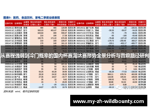 从赛程强弱到冷门概率的国内杯赛淘汰赛形势全景分析与晋级路径研判 从赛程强弱到冷门概率的国内杯赛淘汰赛形势全景分析与晋级路径研判