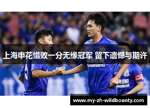 上海申花惜败一分无缘冠军 留下遗憾与期许