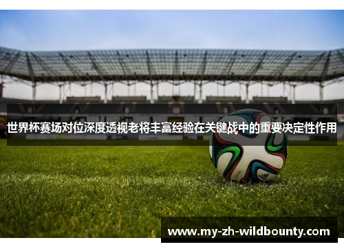 世界杯赛场对位深度透视老将丰富经验在关键战中的重要决定性作用